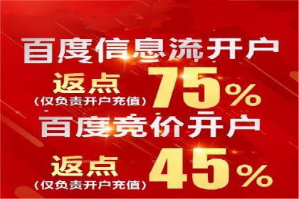 SEM运营推广策略：成功案例解析